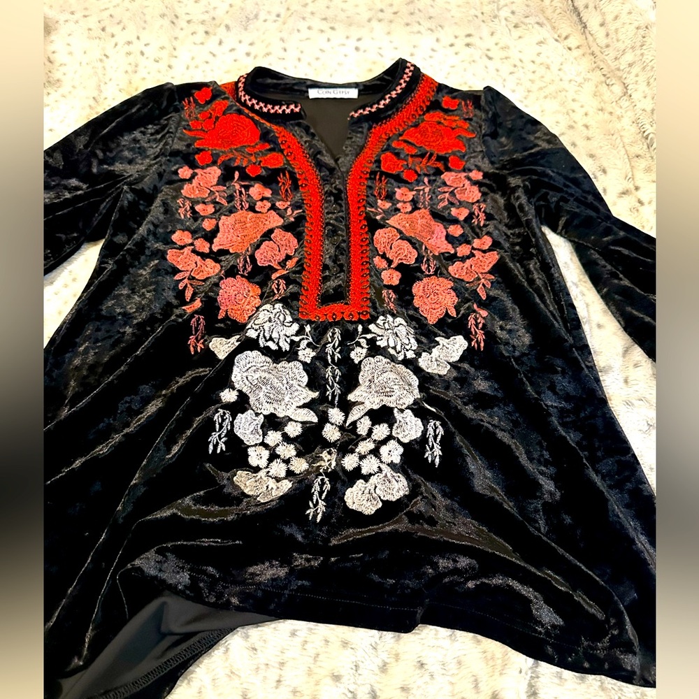 Coin Gypsy Embroidered Velvet Tunic with Red and White Floral Design